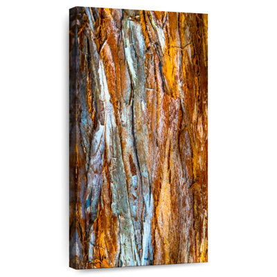 Tree Bark Abstract