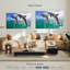 Deux dauphins Brampt-108033137
