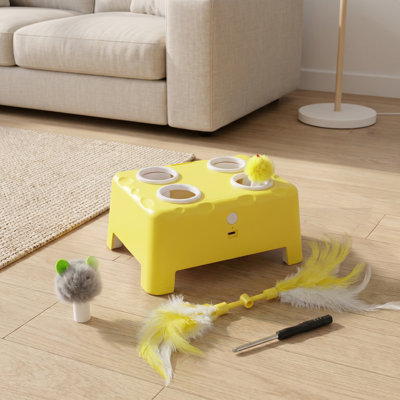 Cat Toys