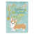 Brown Corgi