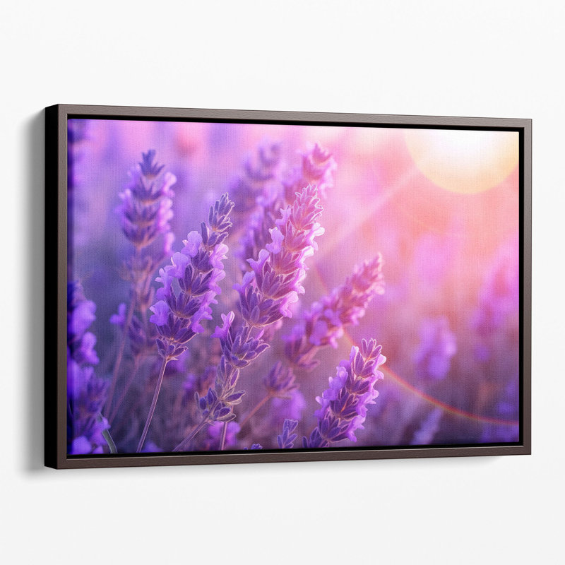 Lavande, impression murale, Toile tendue, H 16 po x l 24 po x P 1,25 po