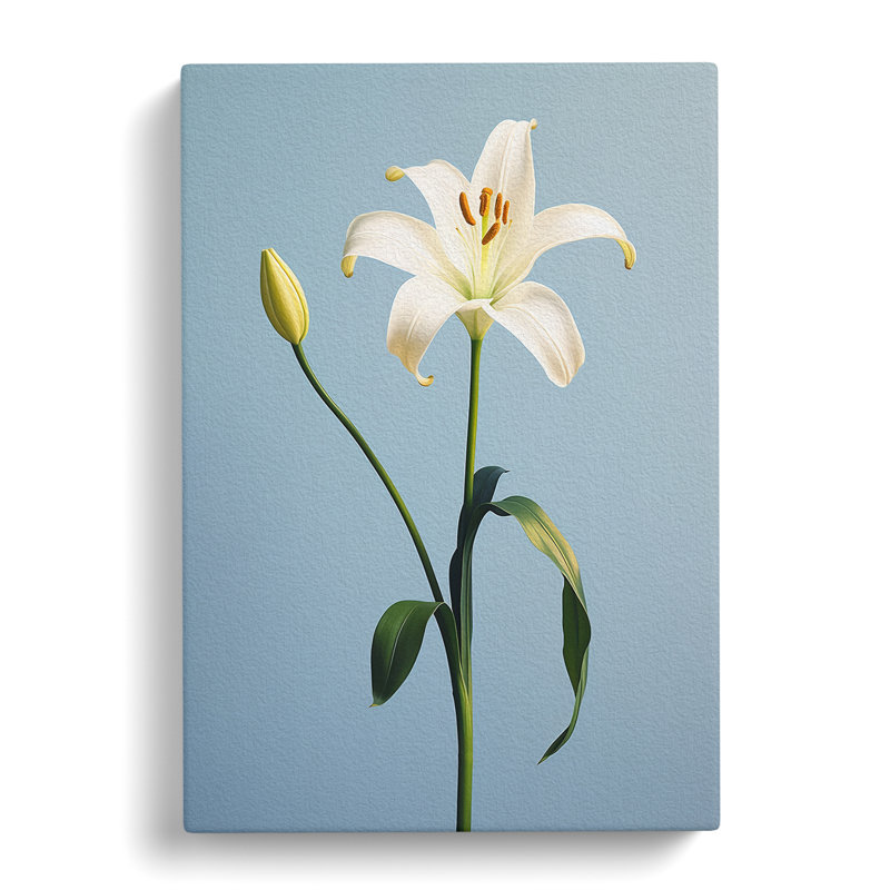 Lily Flower Minimalism - Wrapped Canvas, 50cm H x 35cm W x 3cm D