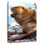Brampt Beaver In Winter
