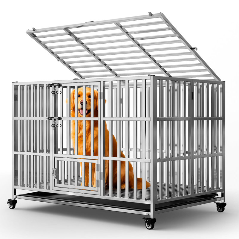 Cage et parc pour chien en acier inoxydable, Moyen (H 34,2 po x l 27,6 po x P 42,5 po)