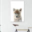 Bébé loup - reproduction d'art-53045807-53045808-53045806