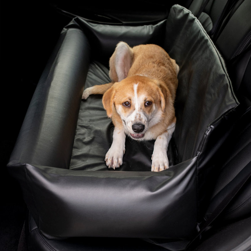 Lit pour voiture Pupprotector, Noir, Grand (H 13 po x l 48 po x P 18 po)