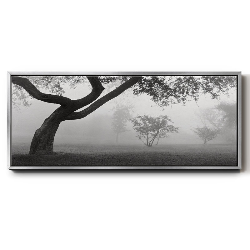 Into the Mist- Framed Canvas, 20" H x 50" W