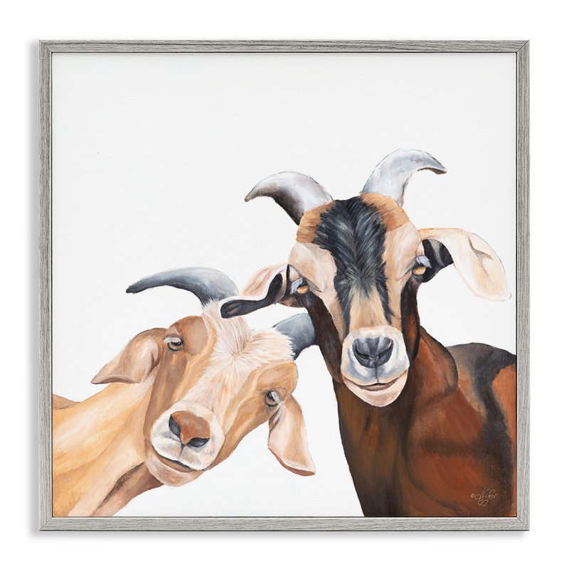 «Happy Goat», souriant, giclée par Diane Fifer, H 24 po x l 24 po, Estampe numérique Farmhouse