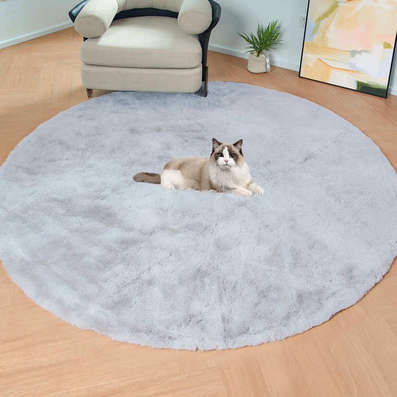Allysandra Washable Indoor Rug, Round 6'