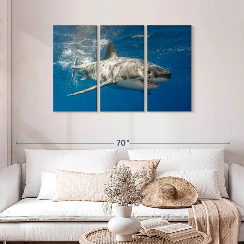 Shark, 28" H x 45" W