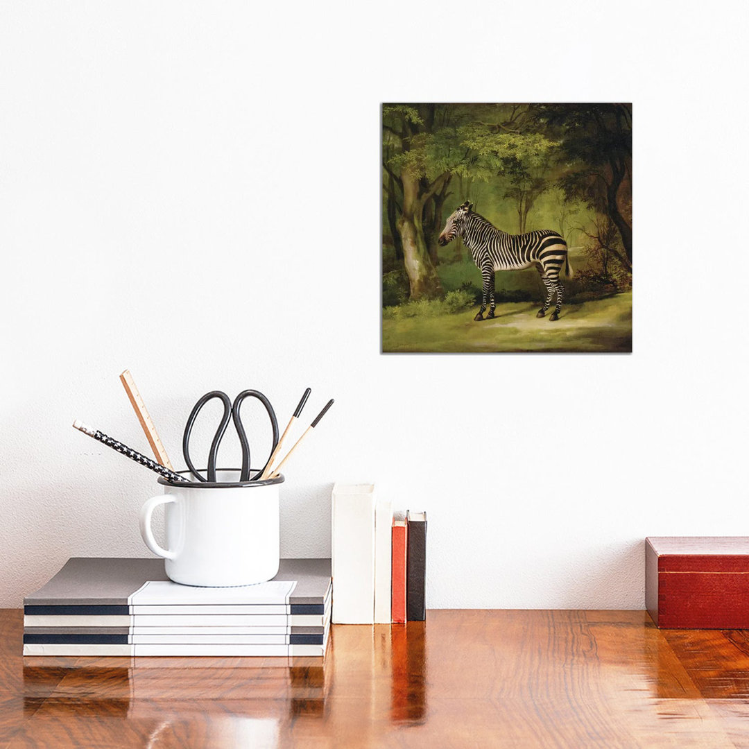 A Zebra, 1763 by George Stubbs - Painting on Canvas