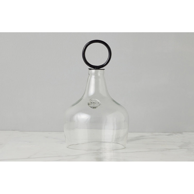 Glass Cloche Food Cover, Ring Handle, Small, Clear/Black