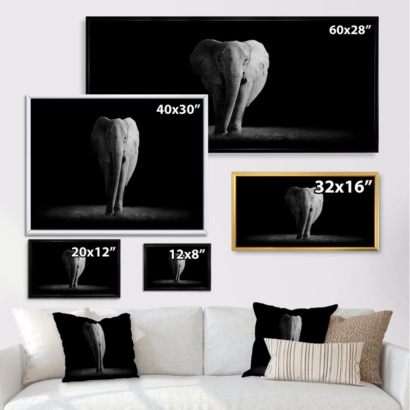 Éléphants en noir et blanc II, Cadre noir, H 16 po x l 32 po x P 1 po