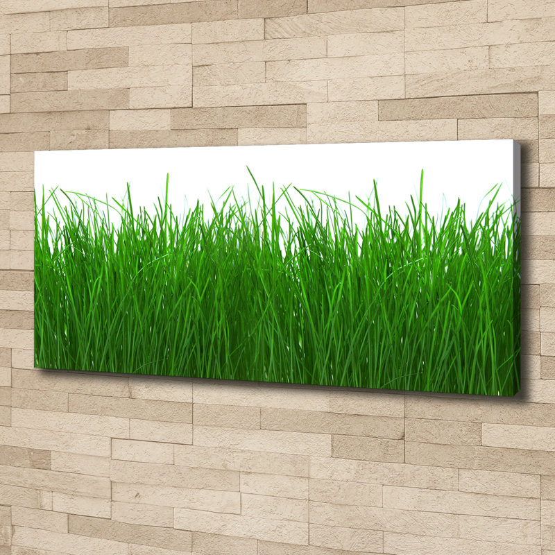 Grass - No Frame Print on Canvas