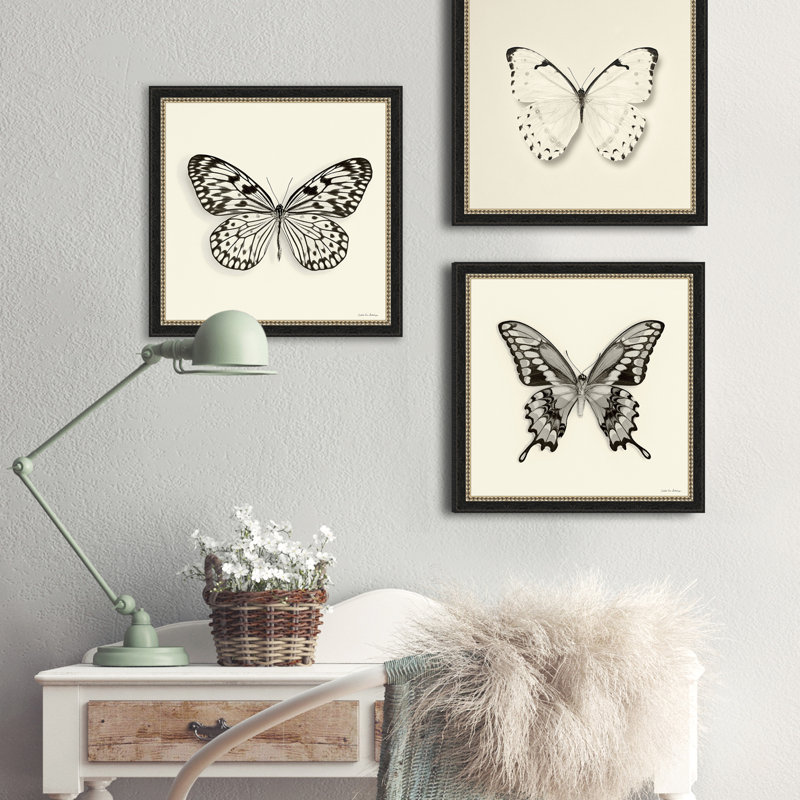 " Butterfly V BW "