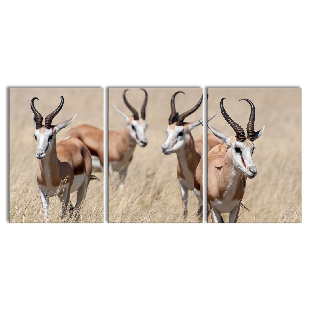 3-tlg. Leinwandbilder-Set Antelopes in the Savannah