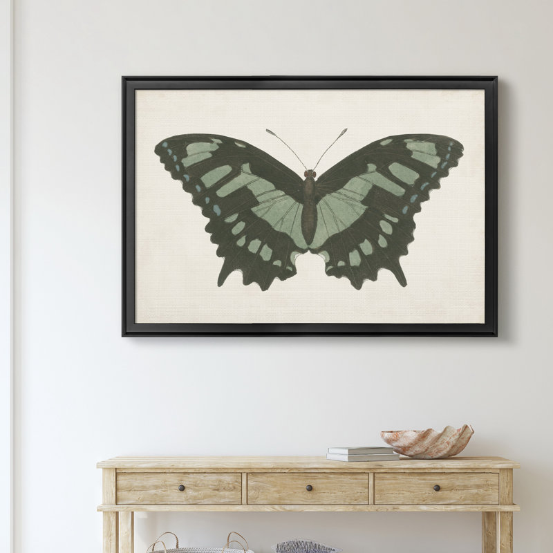 «Beautiful Butterfly II», impression sur toile encadrée, Noir, H 26,5 po x l 36,5 po x P 1,5 po