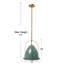Luminaire suspendu en dome à 1 lumière-1079616397