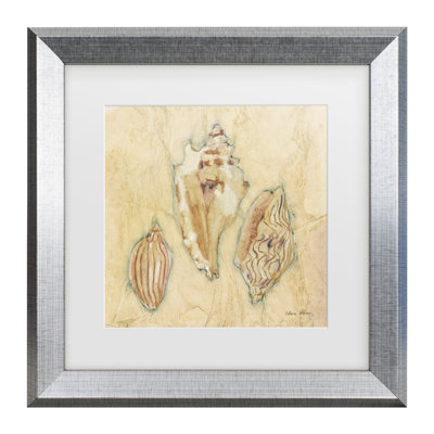 «Cheri Blum Shells I Matted», art encadré