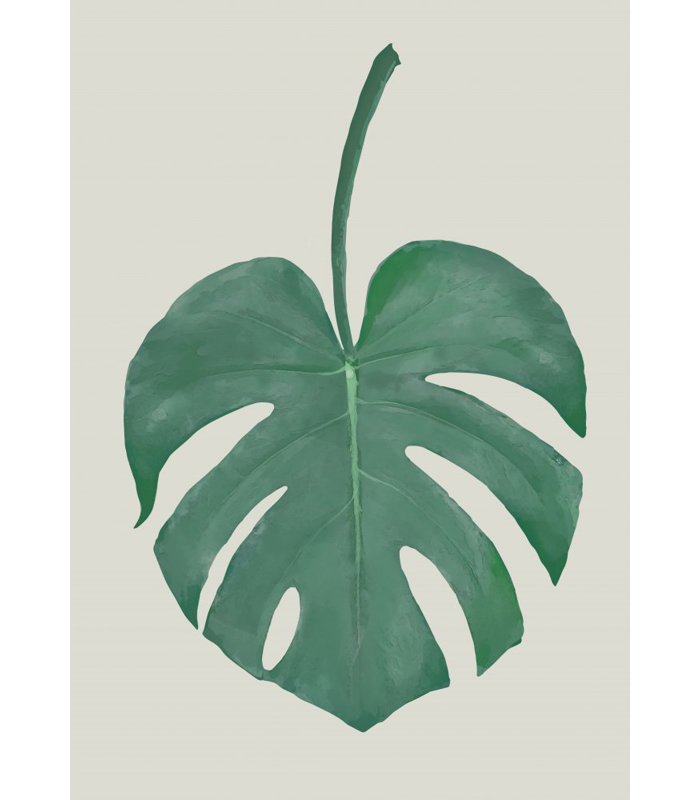 Monstera 05, 121.92 cm H x 81.28 cm W