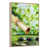 Floating Frame Natural Wood
