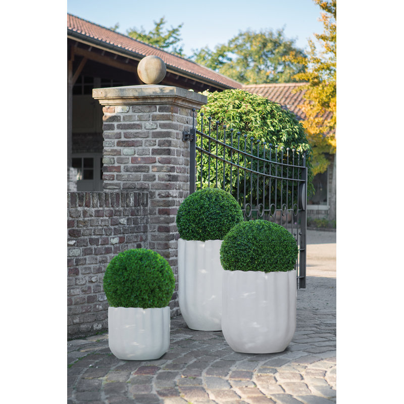 Tulip Resin Plant Pot, 60cm H x 59cm W x 58cm D