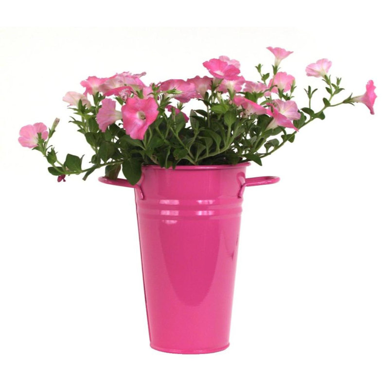 Vase de table en émail galvanisé, H 9,5 po x l 6,5 po x P 6,5 po, Rose millennial