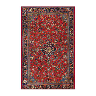 Edelgard Oriental Indoor Rug