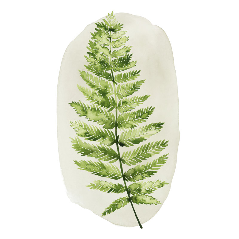 Spot Fern III by Grace Popp - Painting, Wrapped Canvas, 76 cm H x 51 cm W