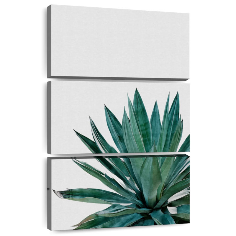 Cactus Harnek Agave, H 50 po x l 32 po