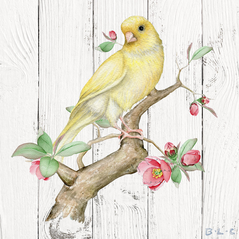 Art mural sur toile jaune Finch and Blossoms, H 12 po x l 12 po