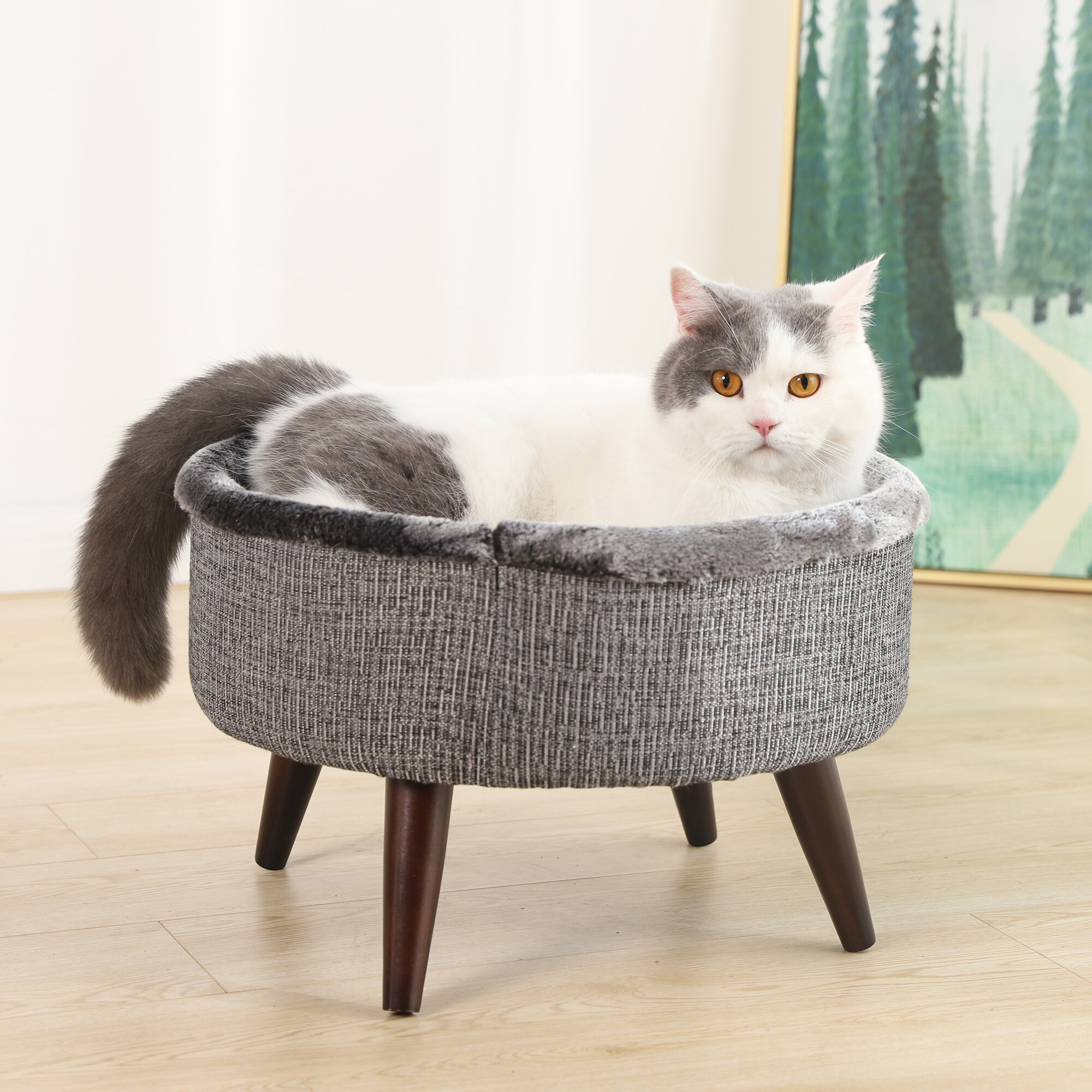 Archie & Oscar™ Heinz Round Cat Bed with Wood Leg Elevated & Reviews ...