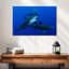 Triple requin-107886606