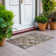 Malek Indoor/Outdoor Area Rug with Non-Slip Backing