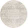 Oriental Indoor Rug