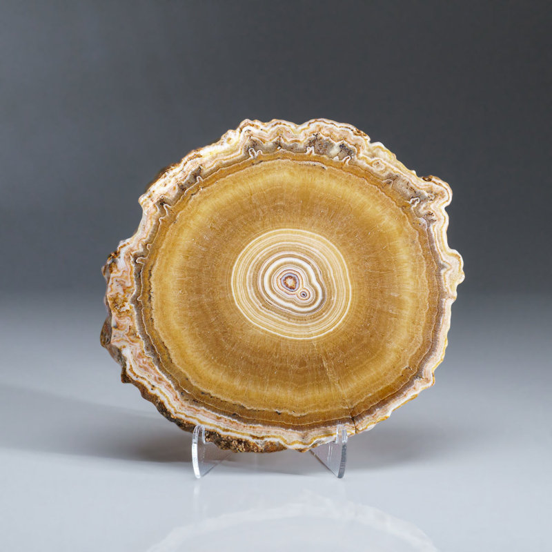 Genuine Aragonite Stalactite Slice from Mexico (0.6 lbs)