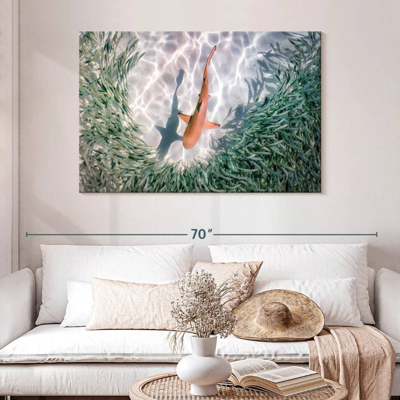 Brampt Baby Blacktip Reef Shark, 32" H x 48" W