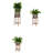 Hillhurst Wood Pot Planter