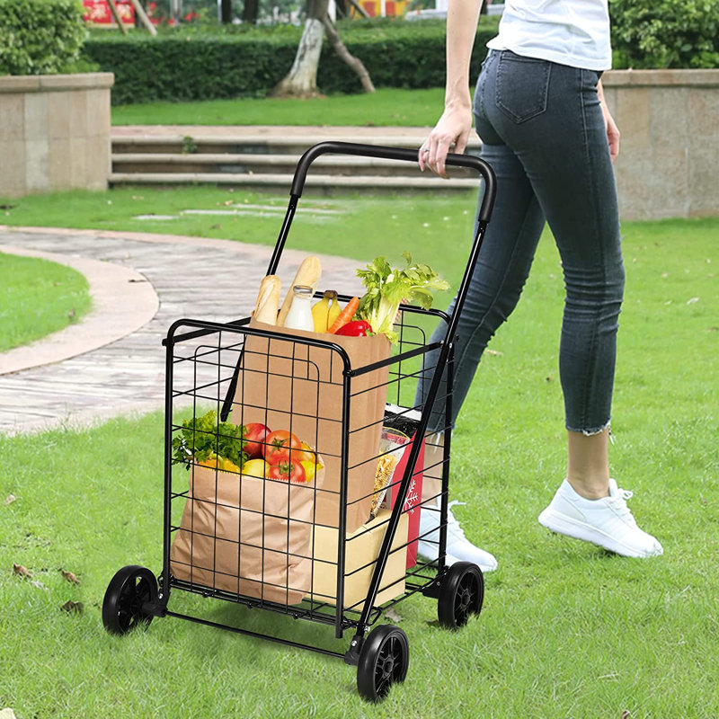 Alexanne 91cm H x 57cm W x 58cm D 35kg Hand Truck Trolley, Black