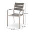 Chaise de salle à manger d'extérieur moderne en aluminium avec siège en faux bois (ensemble de 2) et argent