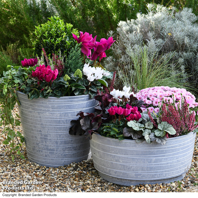 Pot Planter