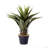 22'' Faux Foliage Succulent in Pot