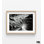 Reproduction de photo encadrée de plante de fromage suisse, art mural photo noir et blanc Monstera, impression de photo botanique, art mural encadré, art mural surdimensionné