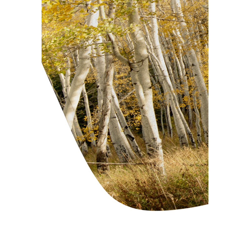 Tapis pour salle de bain aspen