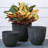 Pot Planter-1306863091