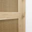 Amariae Oak with Rattan Barn Door-1661094591