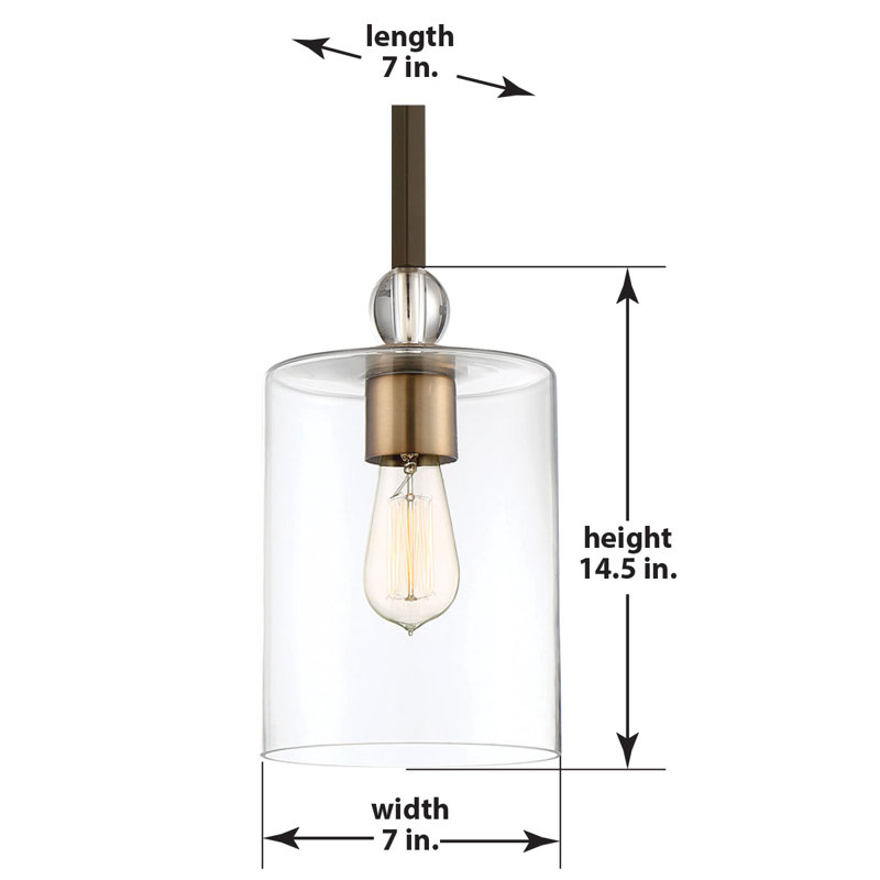 Ivy Bronx Friedman Clear Glass Pendant Light, Bronze, 14.5" H x 7" W x 7" D