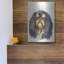Art mural en métal «King Charles Spaniel» par Barbara Keith, Winston Porter-654787996