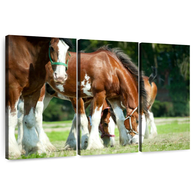 Chevaux Clydesdale, H 20 po x l 33 po