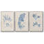 Blue Marine Algae I - Ensemble de 3 reproductions encadrées sur toile-91886837-91886841